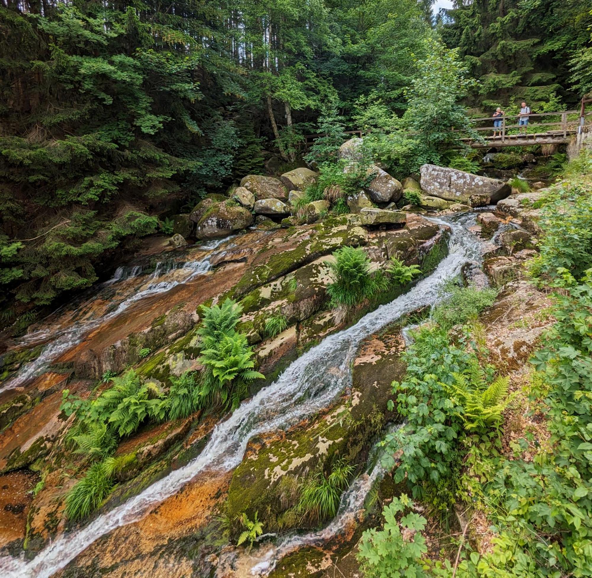Waldgasthaus & Berghotel Steinerne Renne แวร์นิกโกโรเดอ ภายนอก รูปภาพ