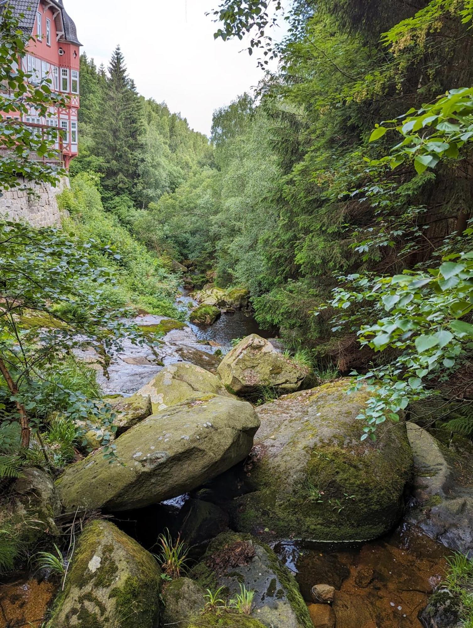 Waldgasthaus & Berghotel Steinerne Renne แวร์นิกโกโรเดอ ภายนอก รูปภาพ