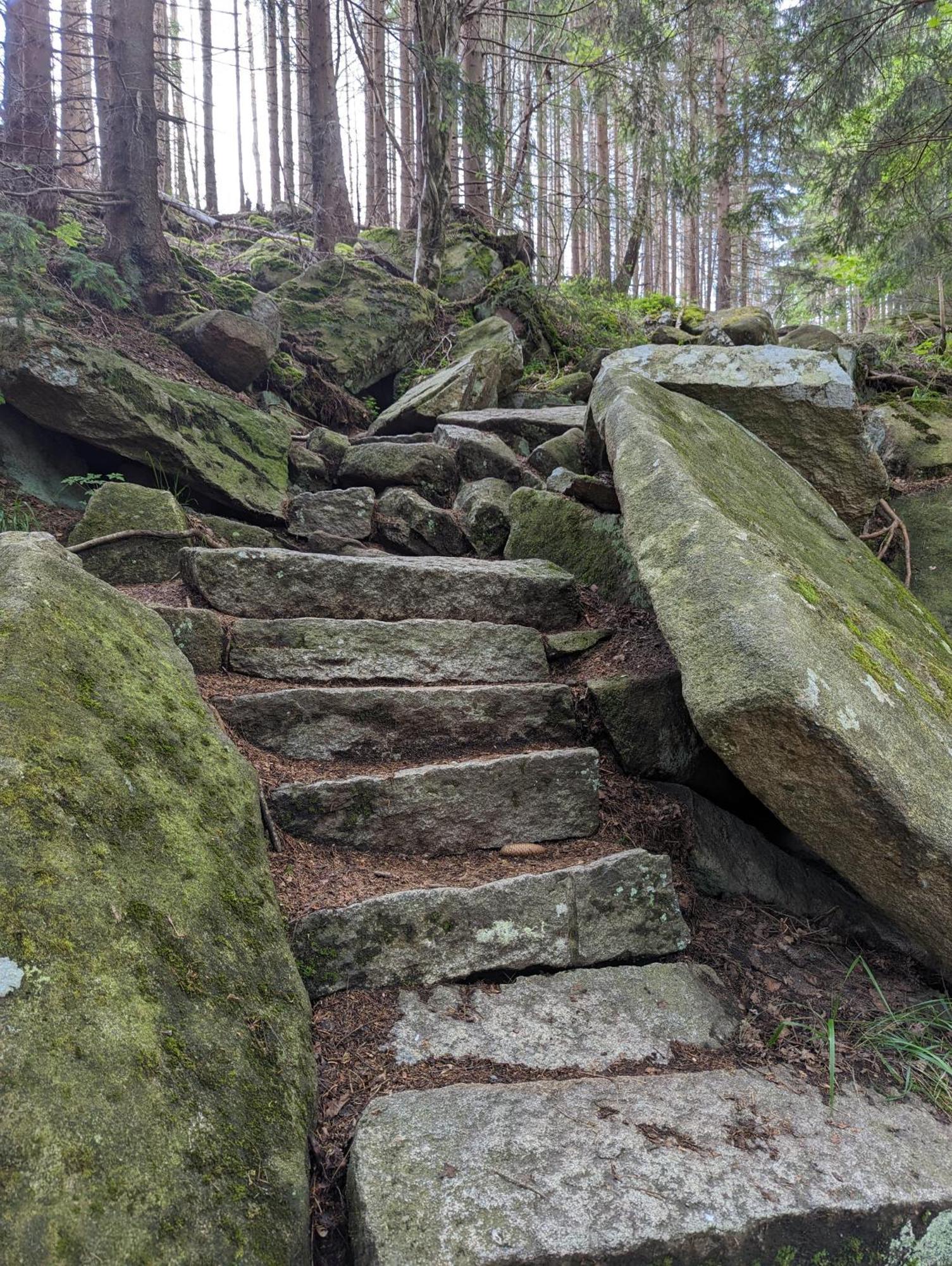 Waldgasthaus & Berghotel Steinerne Renne แวร์นิกโกโรเดอ ภายนอก รูปภาพ
