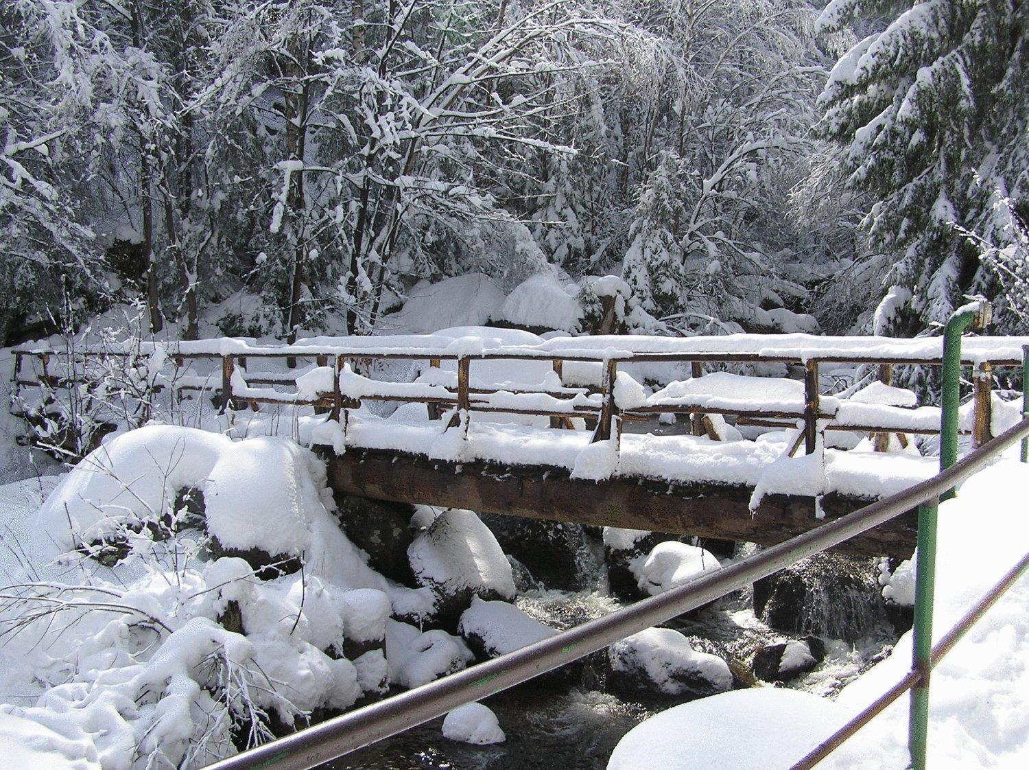 Waldgasthaus & Berghotel Steinerne Renne แวร์นิกโกโรเดอ ภายนอก รูปภาพ